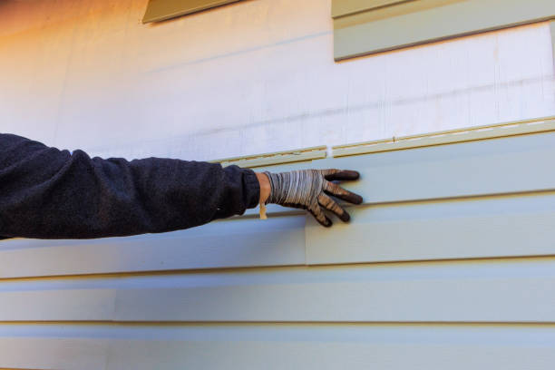 Best Vinyl Siding Installation  in Delano, MN